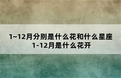 1~12月分别是什么花和什么星座 1-12月是什么花开